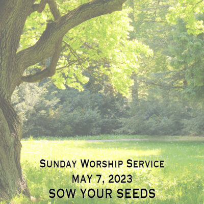 Sow Your Seed