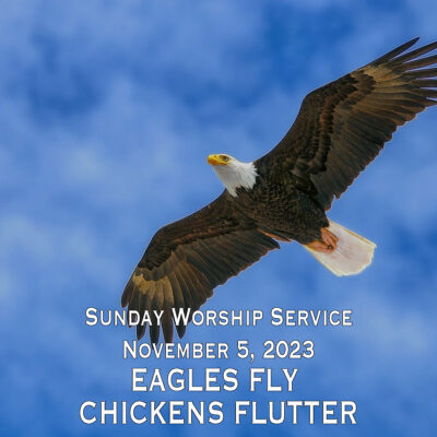 Eagles Fly & Chickens Flutter